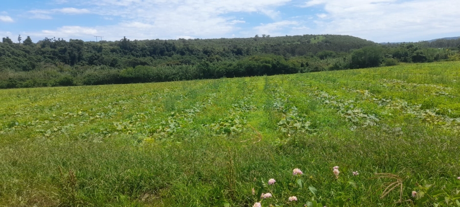 Commercial Property for Sale in Komga Rural Eastern Cape